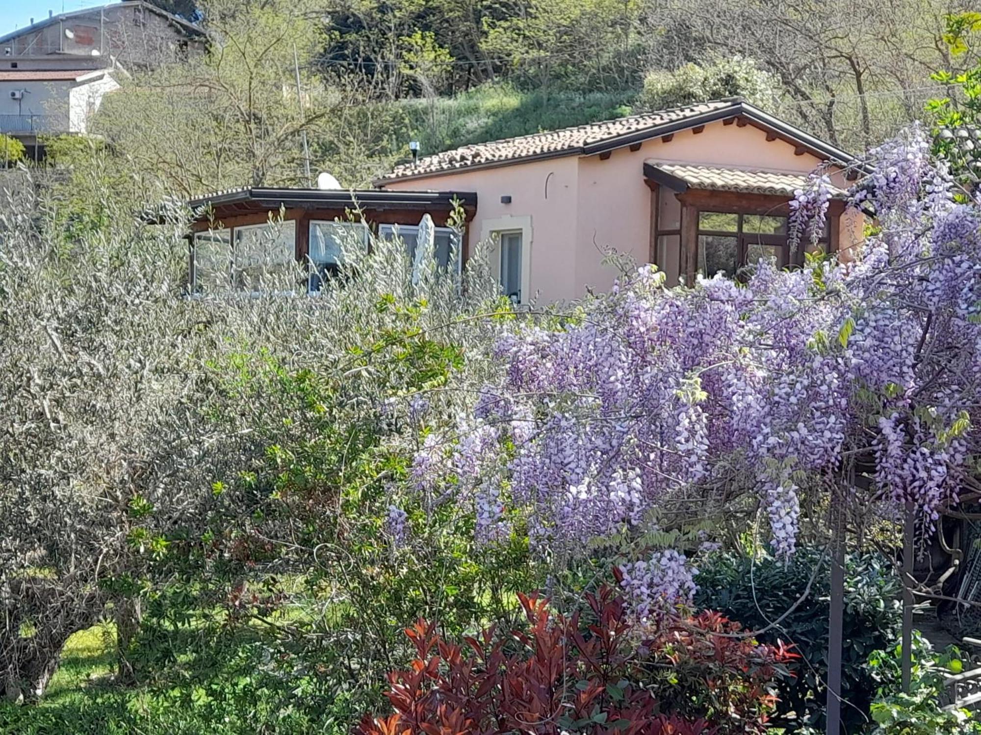 Villa Clementine Piazza Armerina Zewnętrze zdjęcie